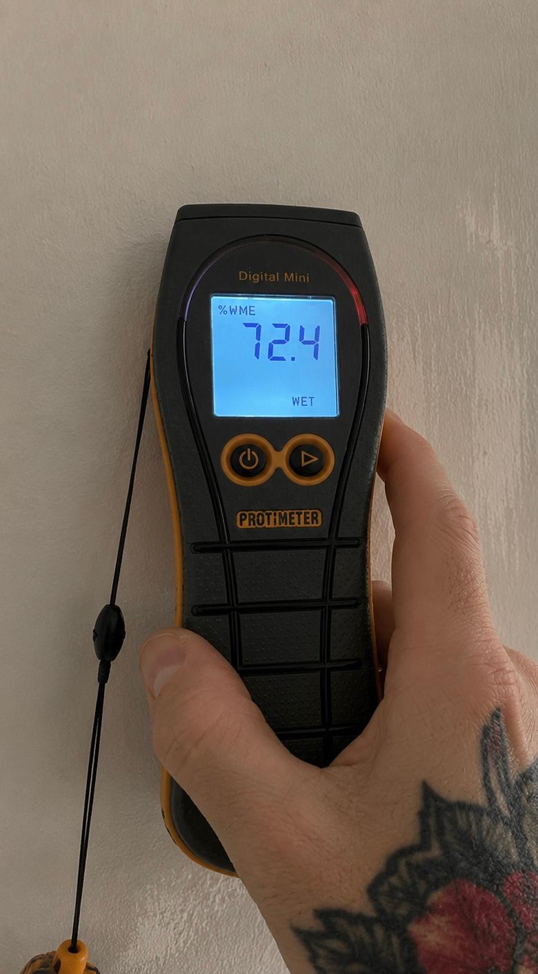 Moisture meter reading recorded during monitoring during monitoring visit