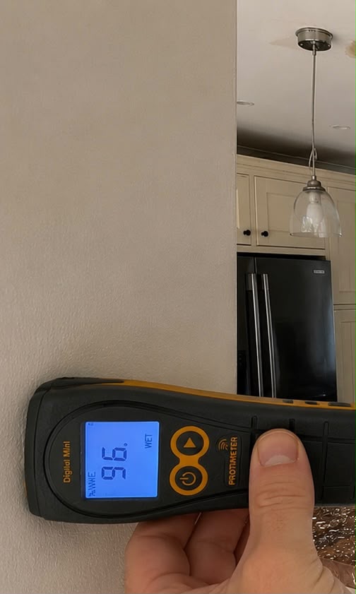 Protimeter Digital Mini moisture meter reading recorded during monitoring during initial inspection