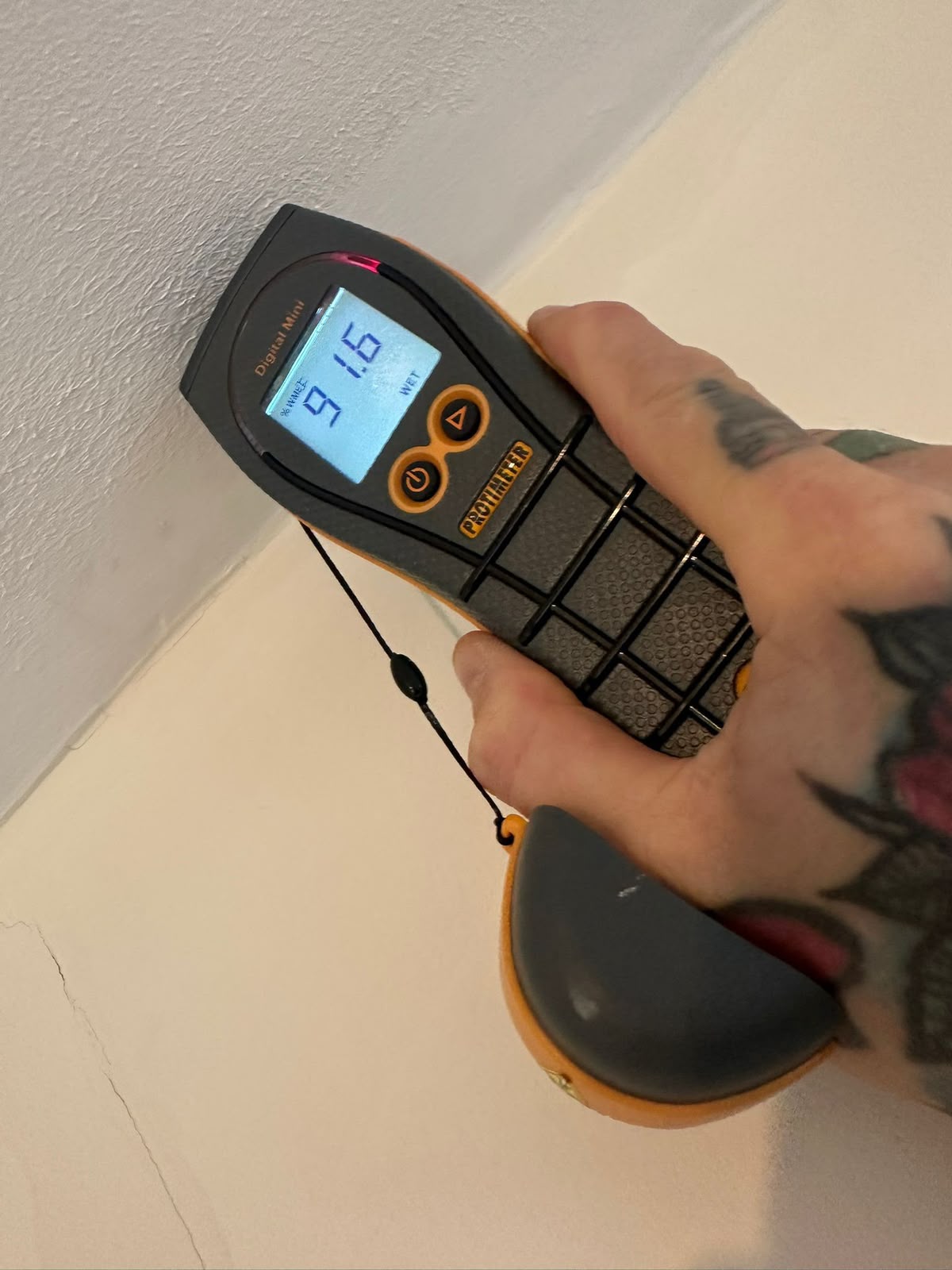 Protimeter Digital Mini moisture meter reading recorded during monitoring at bedroom ceiling — inspection stage