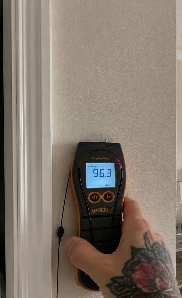 Protimeter Digital Mini moisture meter reading recorded during monitoring during initial inspection