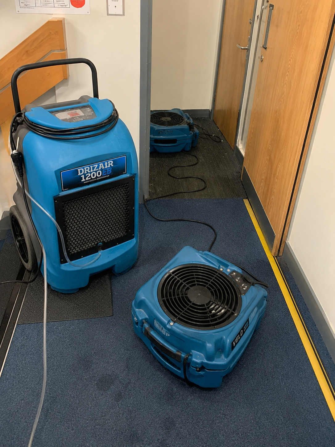 Professional dehumidifier and air movers positioned in a commercial corridor.