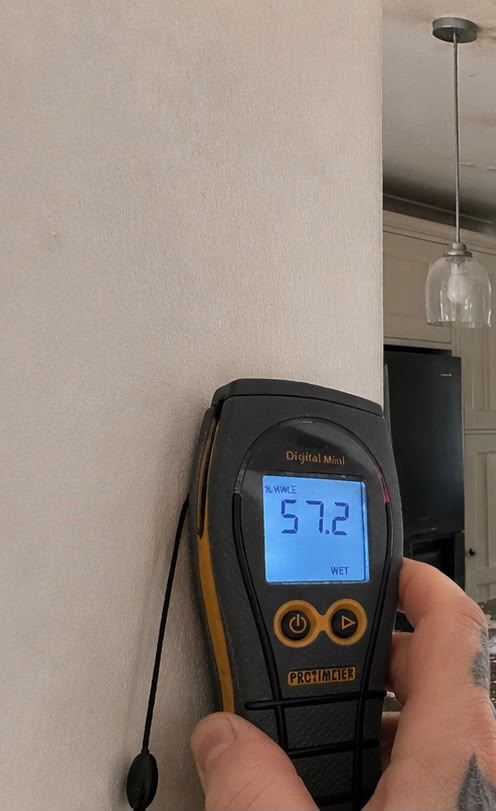 Protimeter moisture meter reading recorded during monitoring during monitoring visit