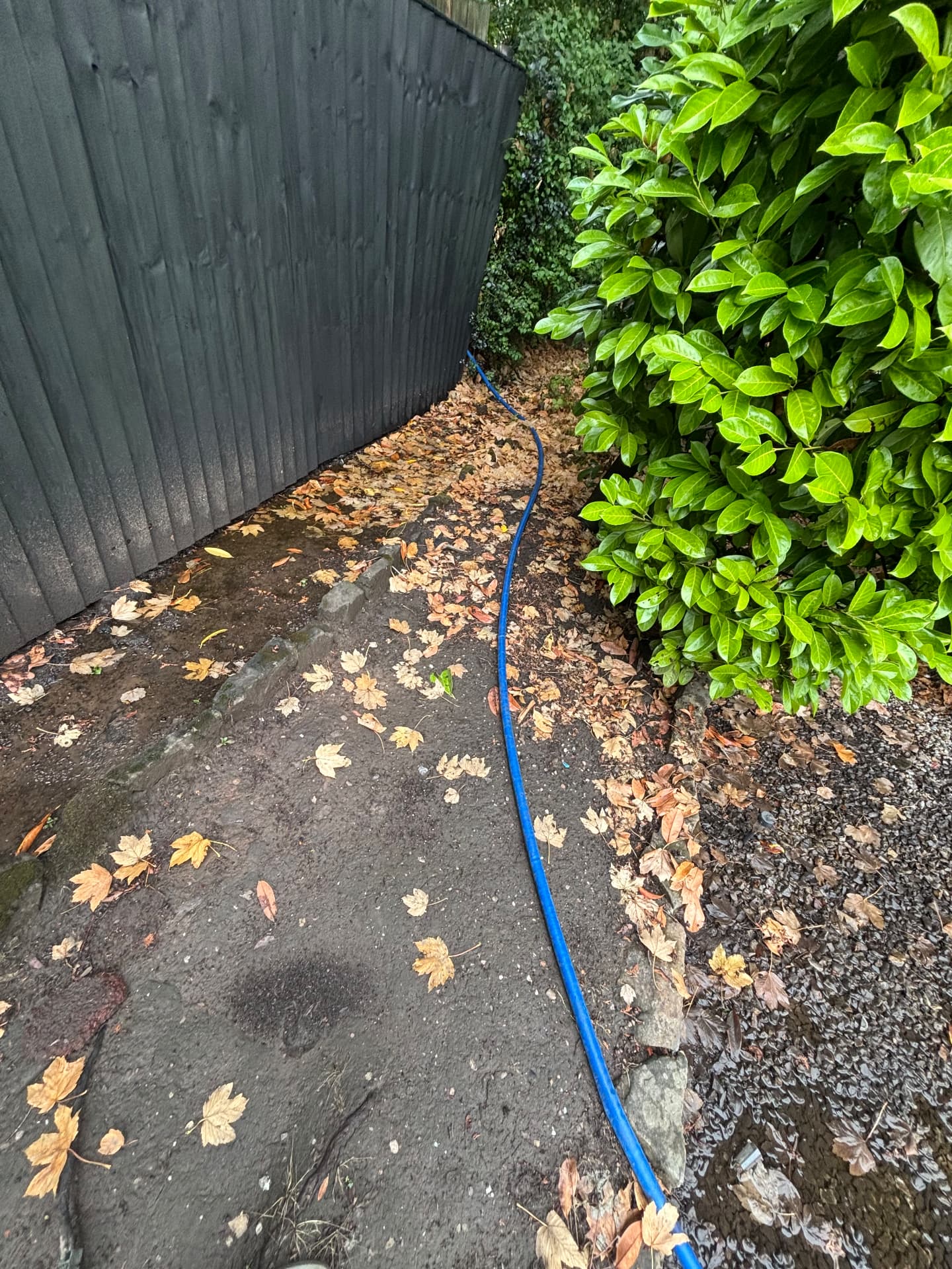 Blue discharge hose routed along a garden path away from the flooded area