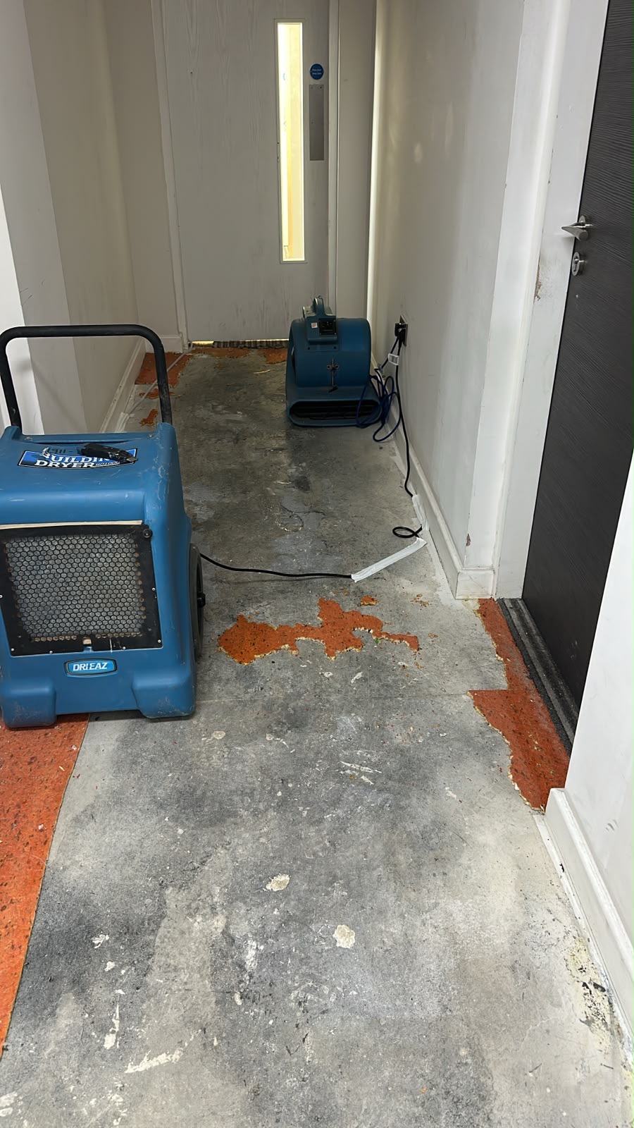 Dri-Eaz dehumidifier and air mover on exposed screed in a communal corridor