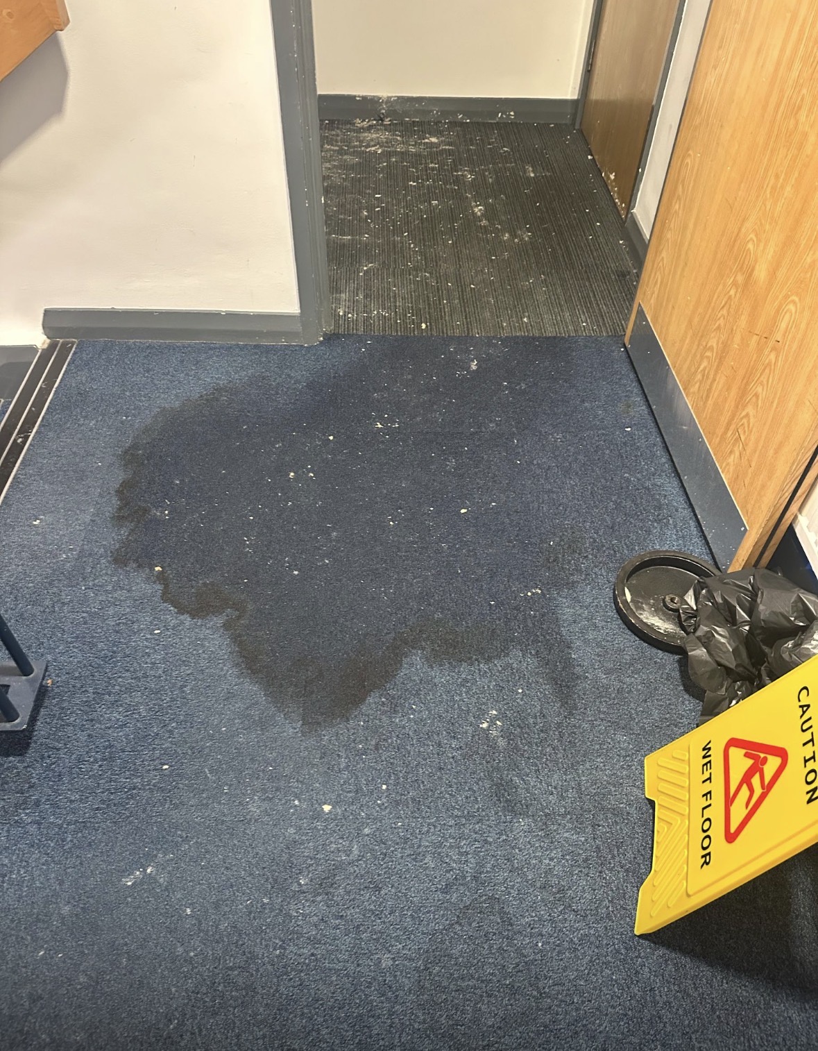 Wet commercial carpet at an office entrance following a water incident.