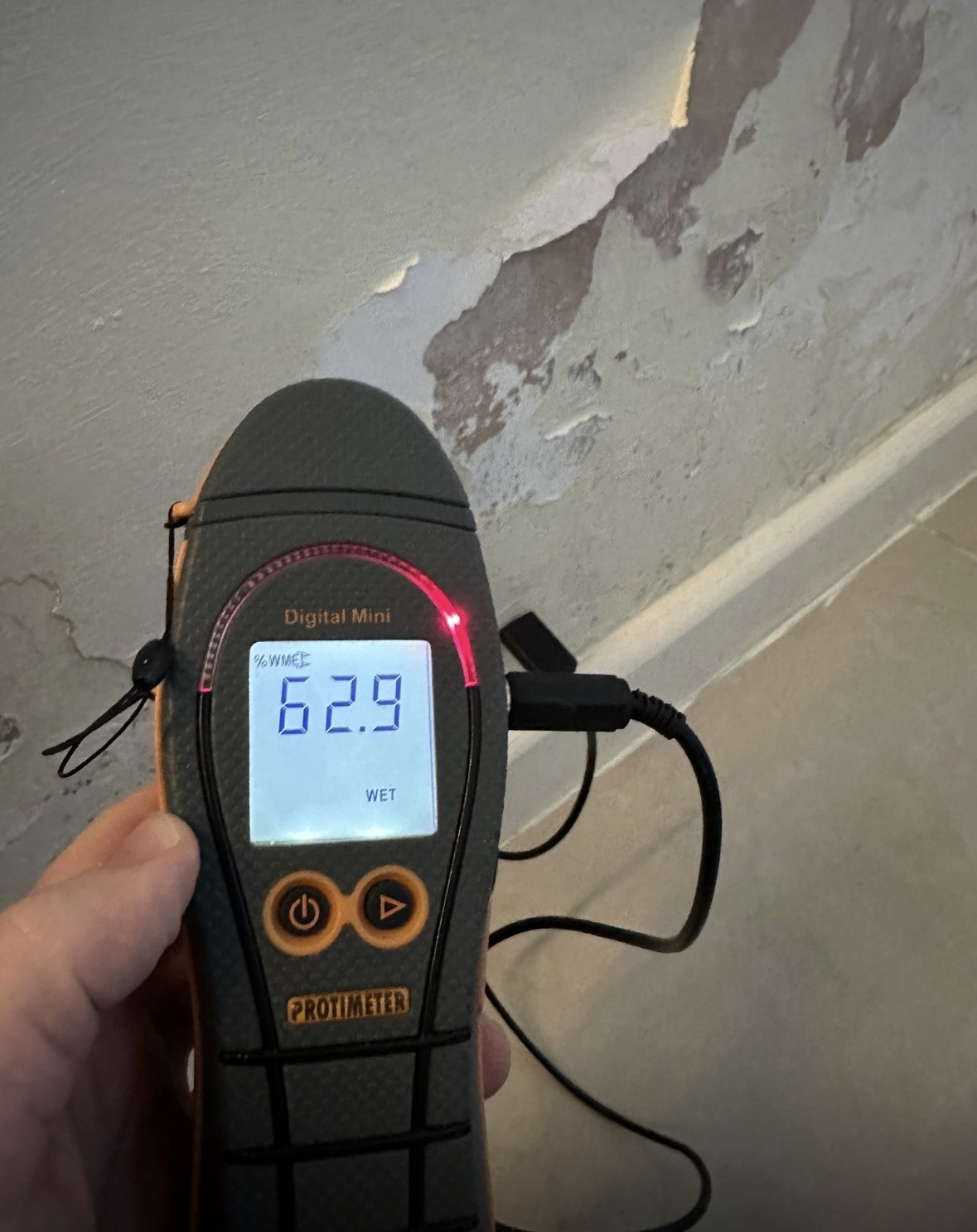 Protimeter showing a comparative WME reading of 62.9 at an affected wall.
