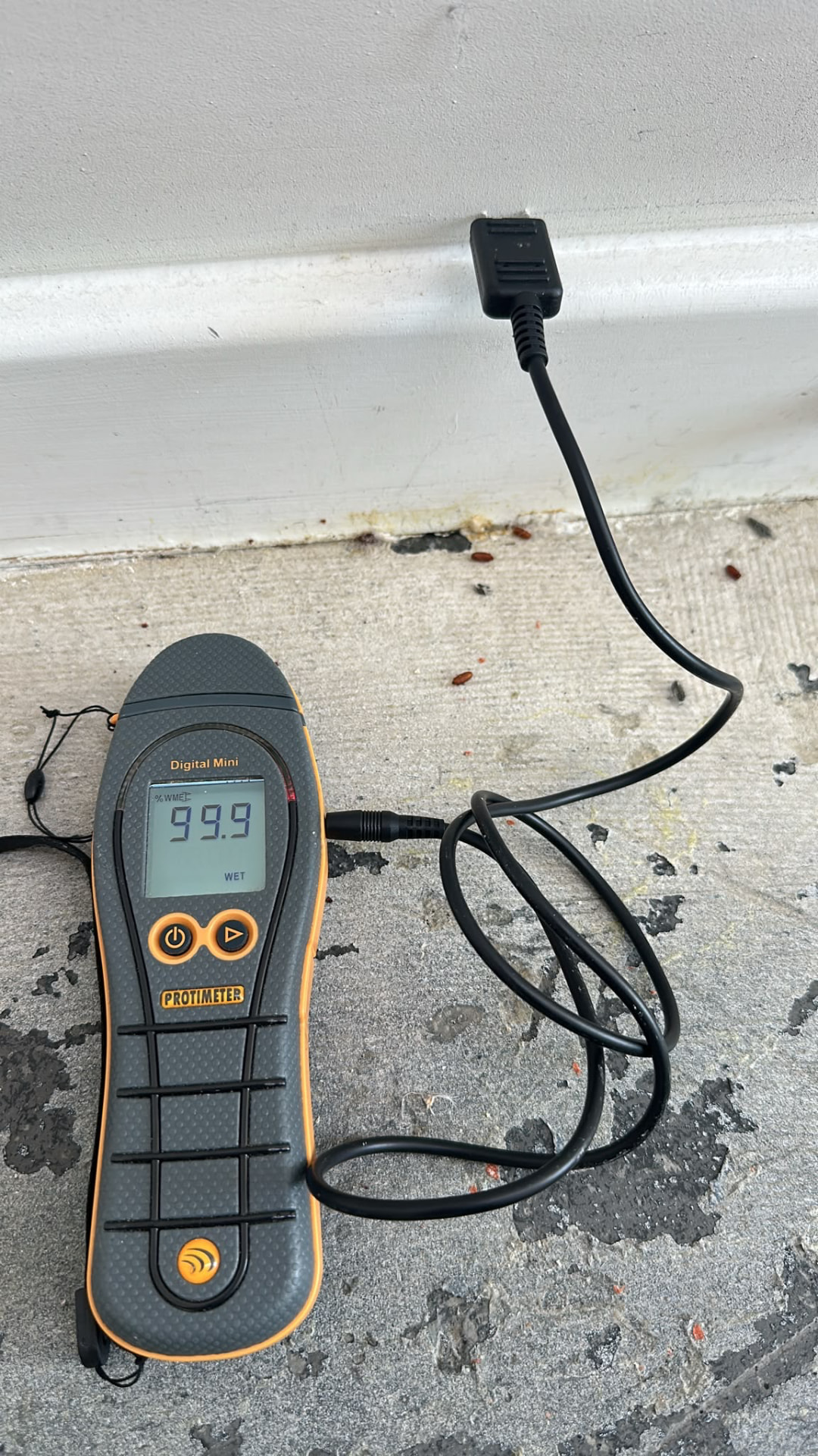 Protimeter Digital Mini moisture meter reading recorded at initial inspection in a communal corridor