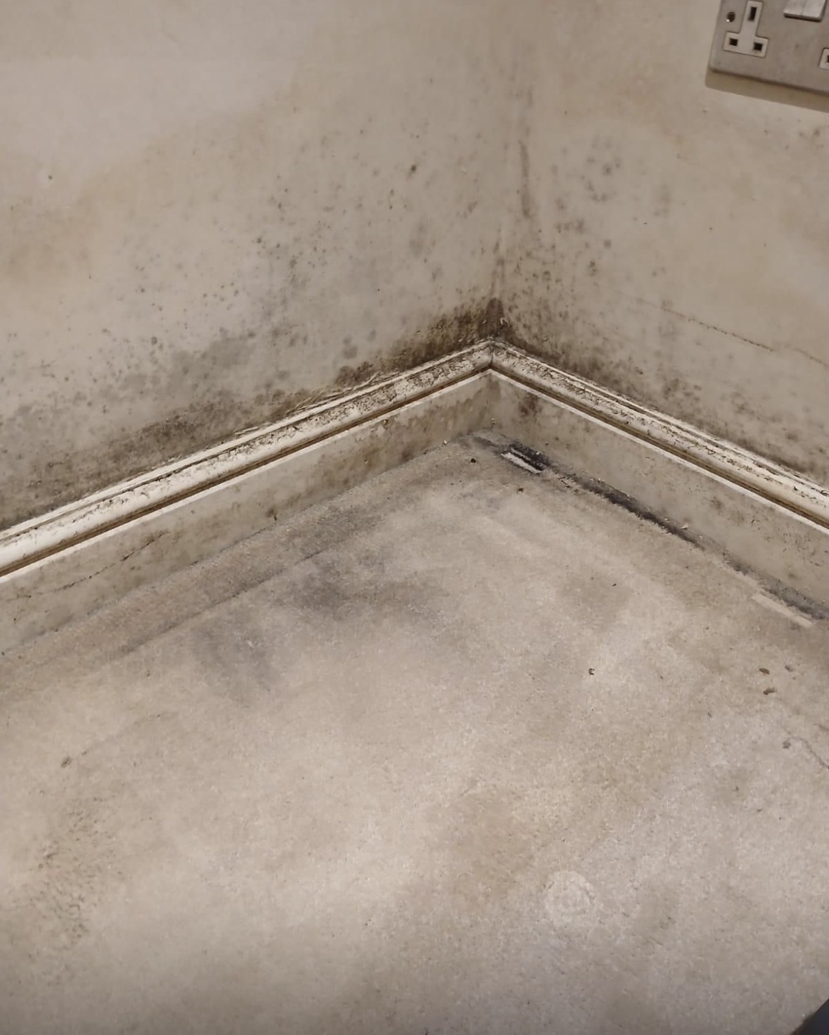 Mould and moisture-related deterioration at the base of an internal wall.