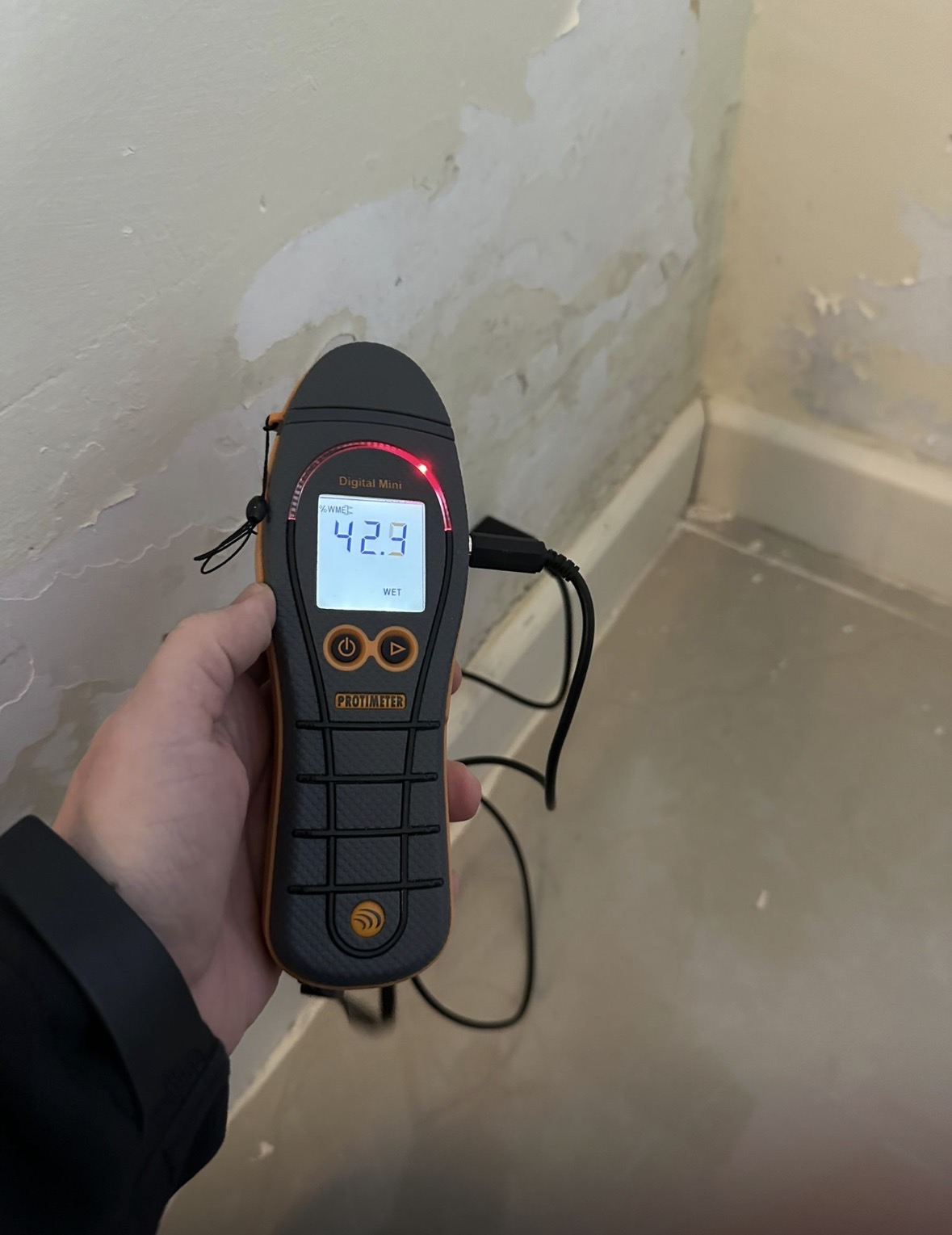 Protimeter showing a comparative WME reading of 42.3 at an affected wall.